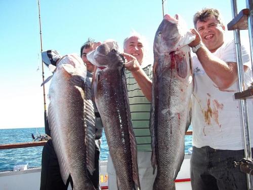 SANDOKAN
PESCA MAR DEL PLATA - ARGENTINA